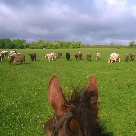 Battens Farm Cottages B&B Yatton Keynell Bagian luar foto