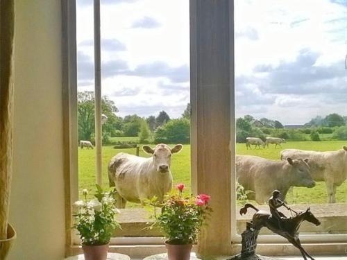 Battens Farm Cottages B&B Yatton Keynell Bagian luar foto
